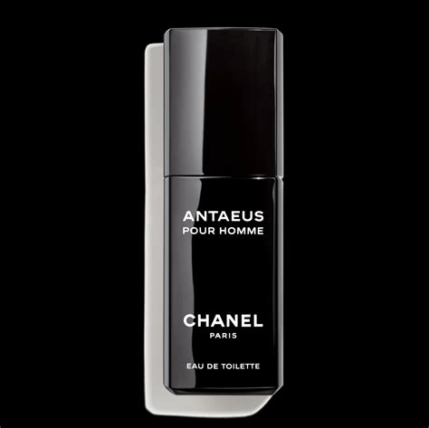 antaeus chanel eau de toilette 100 ml